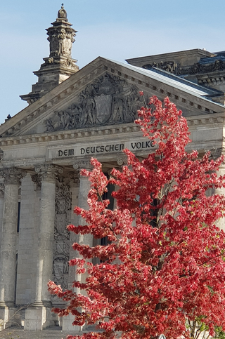 Reichstagsgebäude in Berlin mit der Inschrift 'DEM DEUTSCHEN VOLKE', teilweise verdeckt von einem Baum mit leuchtend roten Herbstblättern.