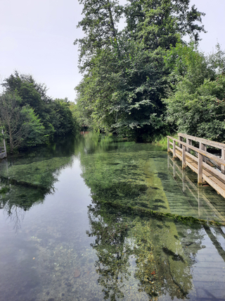 Klarer, flacher Fluss mit sichtbaren grünen Wasserpflanzen und einer Holzbrücke rechts, umgeben von üppigen grünen Bäumen.