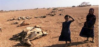 Zwei Kinder in einem dürregeplagten Land, umgeben von tierischen Skeletten, ein eindringliches Bild der Hungersnot.
