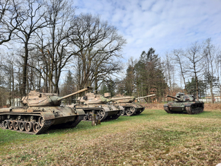 Fünf alte Tarnpanzer reihen sich auf einer Wiese mit Laubbäumen und Nadelbäumen im Hintergrund auf.