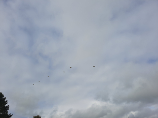 Sechs Gleitschirmflieger unter einem bewölkten Himmel, mit einem dunklen Baum unten links.