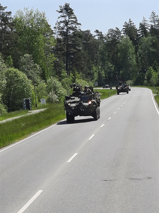 Militärkonvoi gepanzerter Fahrzeuge fährt auf einer Landstraße, von Wald umgeben.