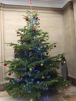 Ein großer Weihnachtsbaum, geschmückt mit roten und goldenen Kugeln sowie blauen Lichtern, steht vor einer hellen, verzierten Wand.