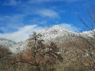 Schneebedeckte Berggipfel unter einem klaren blauen Himmel mit weißen Wolken, umrahmt von kahlen Winterbäumen im Vordergrund.