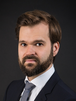 Porträt eines professionellen Mannes mit braunen Haaren und Bart, in dunklem Anzug, weißem Hemd und blauer Krawatte.
