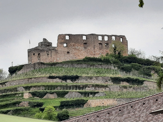 Staufen / Breisgau